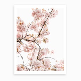 Spring Blossom I Art Print