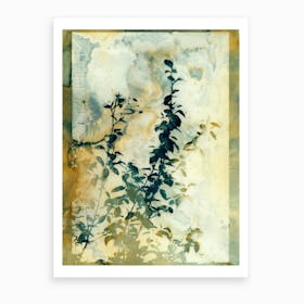 Shadows And Traces Art Print