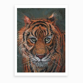 Tiger 2 Art Print