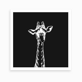 Mammal Art Print