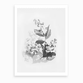 Flowers Bouquet Black And White Art Print