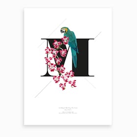 Botanical Alphabet M Art Print