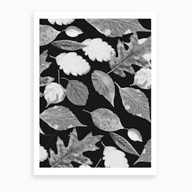 Leaves BW Art Print