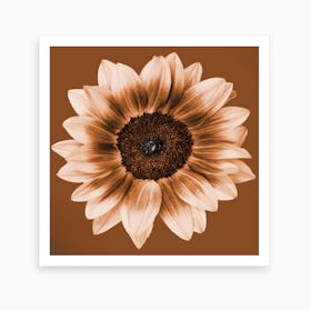 Rustic Sunflower Square Art Print