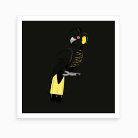 Yellow Tailed Black Cockatoo Art Print