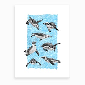 African Penguins  Art Print