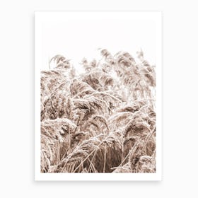 Golden Grass I Art Print