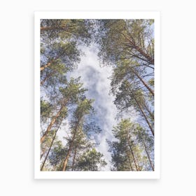 A Walk In The Forest Art Print