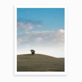 Lone Tuscan Tree Art Print