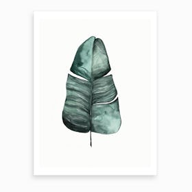 Botanical Illustration Banana Leaf Art Print