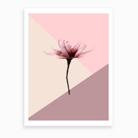 Aesthetic Flower Art Print