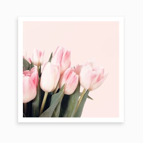 Pink Tulips2 Art Print