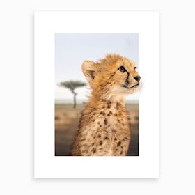 Cheetah Cub Art Print
