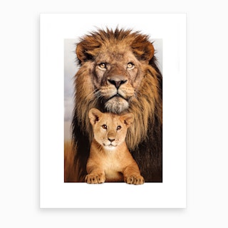 Lion Family Art Print