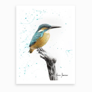 The Knowing Kingfisher Art Print