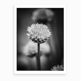 All Alone With My Thoughts Black And White 2 Art Print