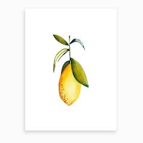 Lemon 3 Art Print