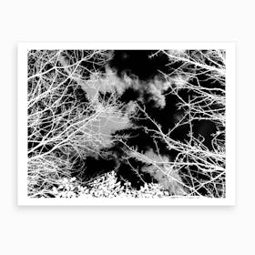 Monochrome Clouds And Trees Art Print