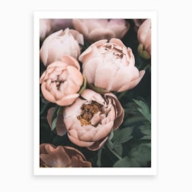Bouquet Art Print
