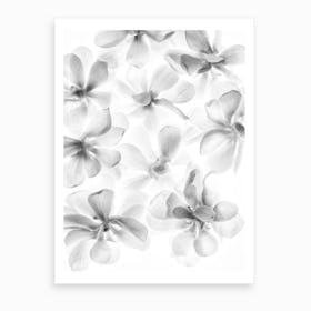 White Petals Art Print