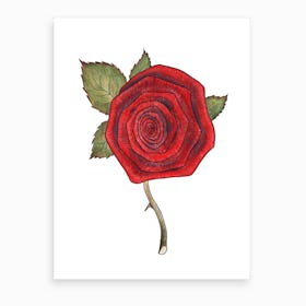 Rose 2 Art Print