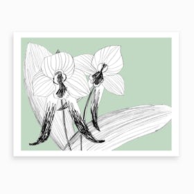 Expressive Orchids 3 Art Print