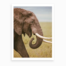 Tanzania Elephant Art Print