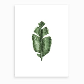Tropical Leaf Art Print