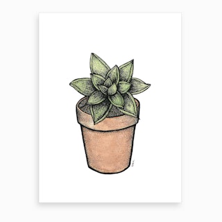 Succulent In A Small Pot  Art Print