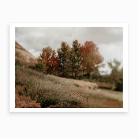 Autumnmeadow Art Print