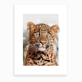 Leopard Cub Art Print