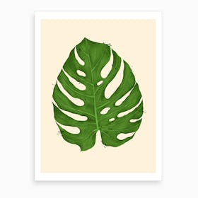 Monstera Deliciosa Leaf Art Print