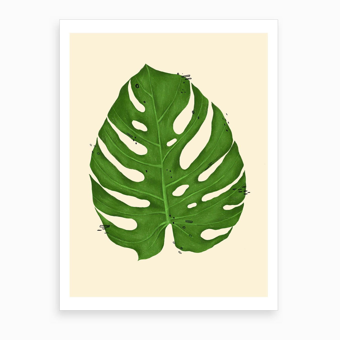 Monstera Deliciosa Leaf Art Print by Cecily Goff - Fy