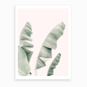 Banana Leaf Pastel Art Print