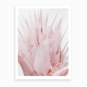 Pink Flower II Art Print