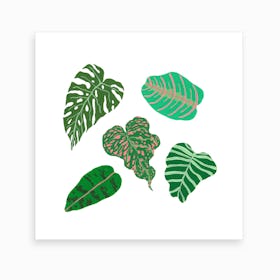 Tropical Greens  Art Print