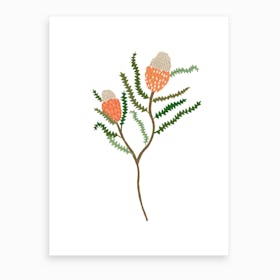Banksia Flowers Art Print