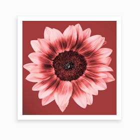 Ceramic Sunflower Square Art Print