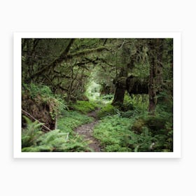 Rainforest Trail Art Print