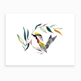 Watercolor Bird 5 Art Print