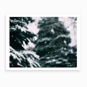 Snow And Trees Art Print