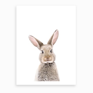 Rabbit Art Print