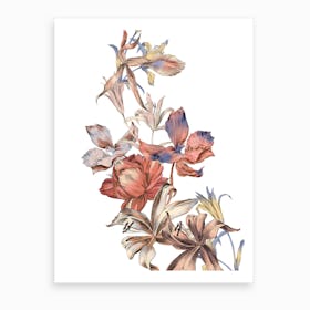Orchid Bouquet Art Print