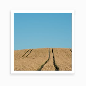 Field Of Barley Art Print