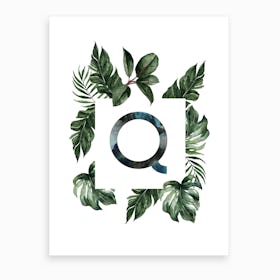 Botanical Alphabet Q Art Print