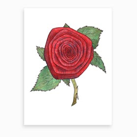 Rose 4 Art Print