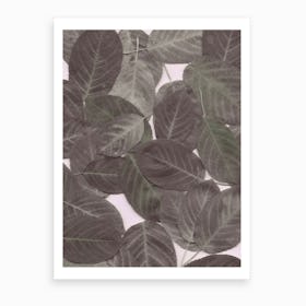 Autumn Leaves Pink Art Print