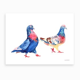 Pigeons Art Print