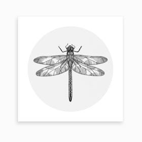Dragonfly 2 Art Print