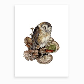 Sleeping Owl Art Print
